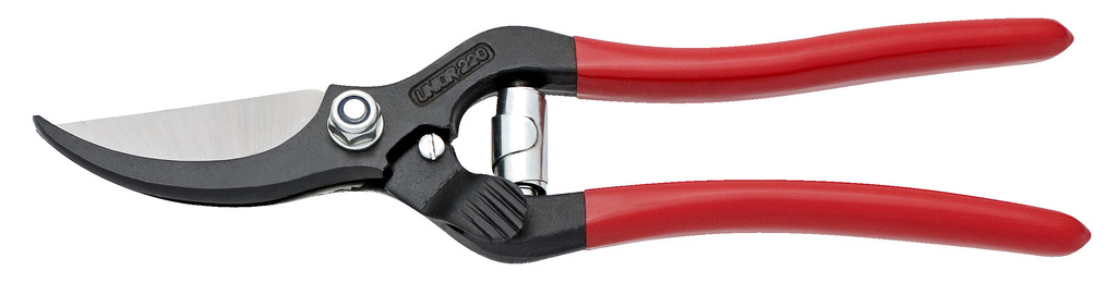 #demo# 542/4PR-Tijera para podar-220